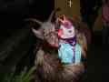 web_DSC0205533.jpg